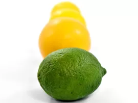 Ácido bórico: efectividad como insecticida para el control de hormigas