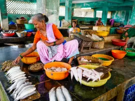 Descubre la mejor marca de Ashwagandha y dónde comprarla: beneficios, efectos secundarios y opiniones