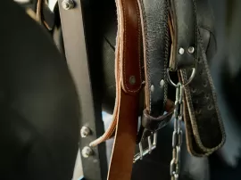 Cómo elegir la mejor opción de seguro de salud para tu familia