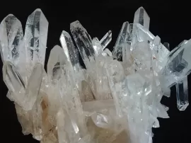 Explora la variedad de la fragancia Nenuco en tiendas de cosméticos líderes.