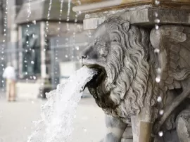 Descubre la encantadora fragancia de Oilily: dónde comprar, modelos y opiniones