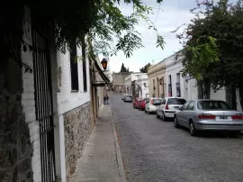 Guía para elegir el mejor perfume vegano y libre de crueldad.