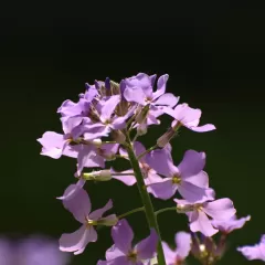 5 consejos para mantener la productividad en el teletrabajo