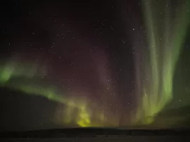 Explora Bella Aurora: Fabricante, beneficios y usos de Splendor 60 en diversos presentaciones.