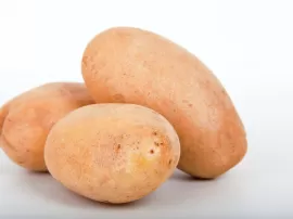 Descubre todo sobre la fécula de patata y sus usos: extracción, propiedades, precios y alternativas