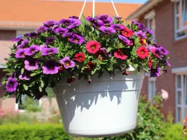 Grelos en conserva de Mercadona: calidad y sabor para tus platos