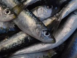 Guía para eliminar pececillos de plata fácilmente: ubicación, repelentes y productos efectivos a utilizar