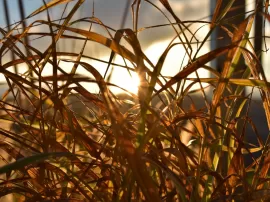 Láminas de Leroy Merlin: tu opción perfecta para enmarcar y decorar tus paredes.