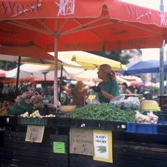 Gloryfeel Probivia: el mejor probiótico para tu flora intestinal.