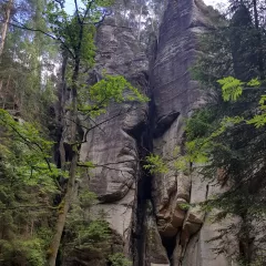 Guía completa para utilizar propolis de Mercadona: consejos, opiniones y precios