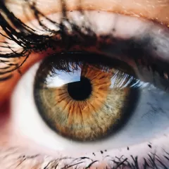 Guía de compra del Roll On Contorno de Ojos de Garnier: ingredientes, beneficios y precios.