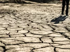 Guía de suelo para camping: de básicos a especializados en Lidl, Leroy Merlin y Decathlon.