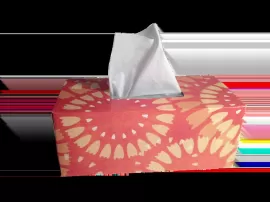 Guía de compra de pañuelos de papel en diferentes tiendas: precios, marcas y características.