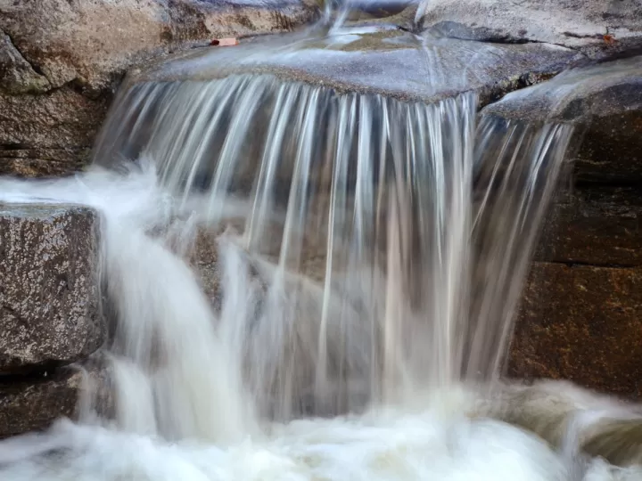 agua del rosal precio