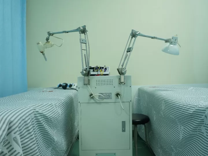 albergues del camino de santiago que permiten perros