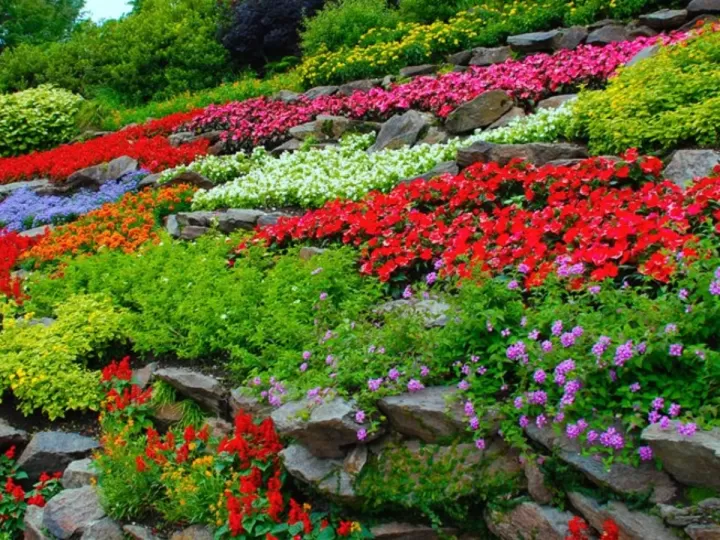 alisado novex opiniones