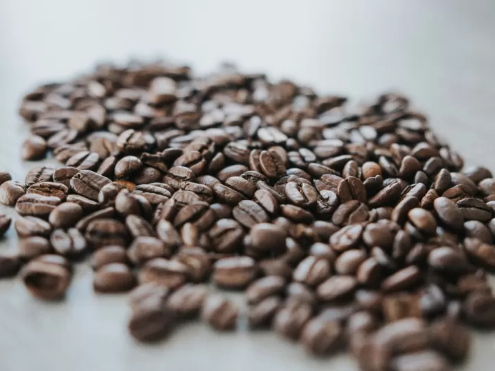 alpecin champú cafeína opiniones