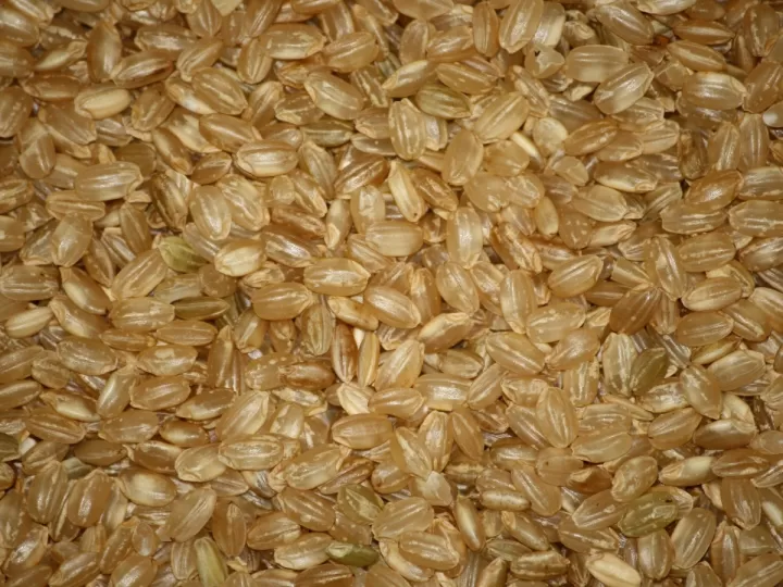 arroz arborio lidl