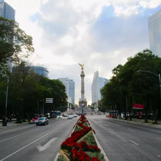 avenida del infante don luis 8