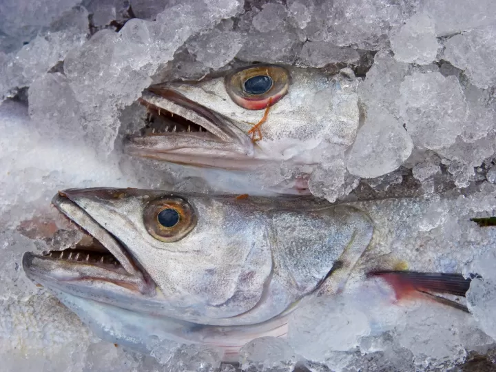 bacalao seco mercadona