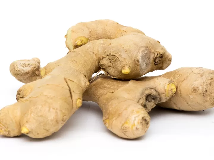 bio ginger shot