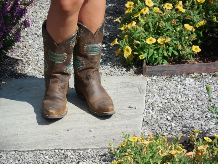 botas cowboy baratas mujer