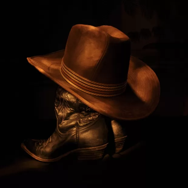 botas cowboy baratas