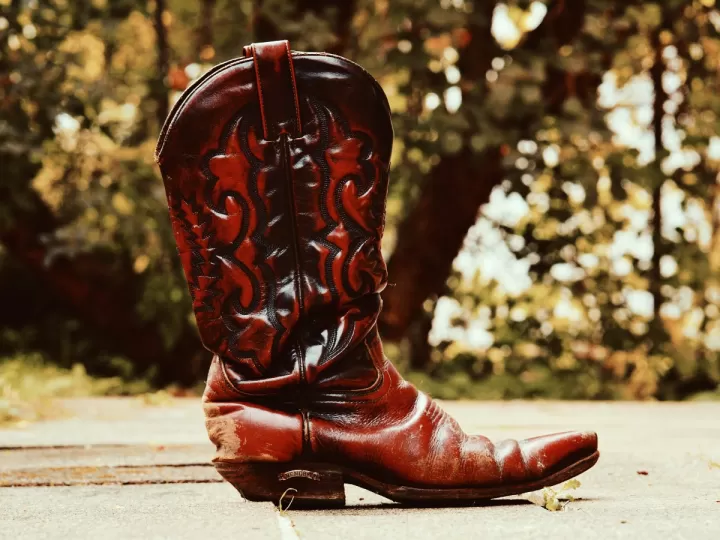 botas cowboy caña estrecha