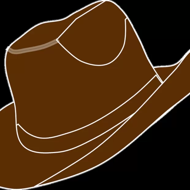 botin vaquero mujer