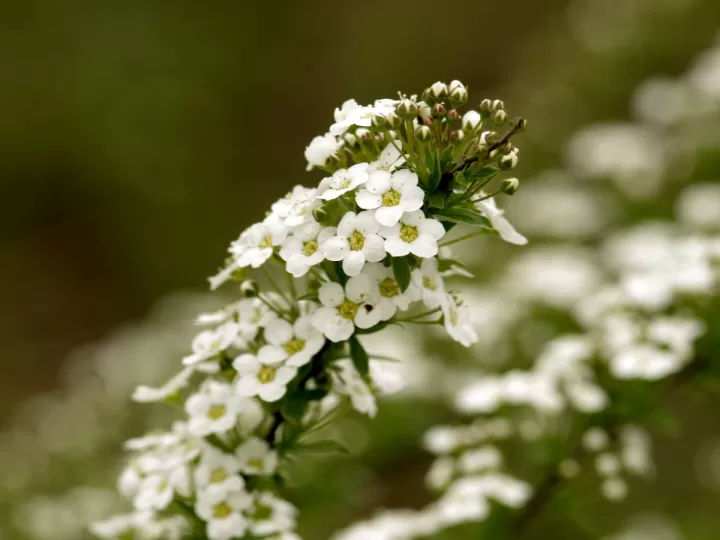 butacas pequeñas baratas
