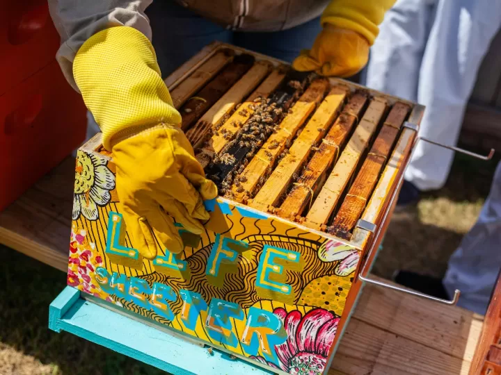 caja para toallitas wc
