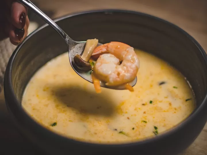 cecotec vapovita 3000 recetas