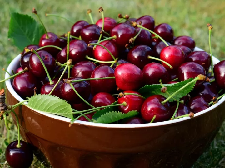 cereza amarena lidl