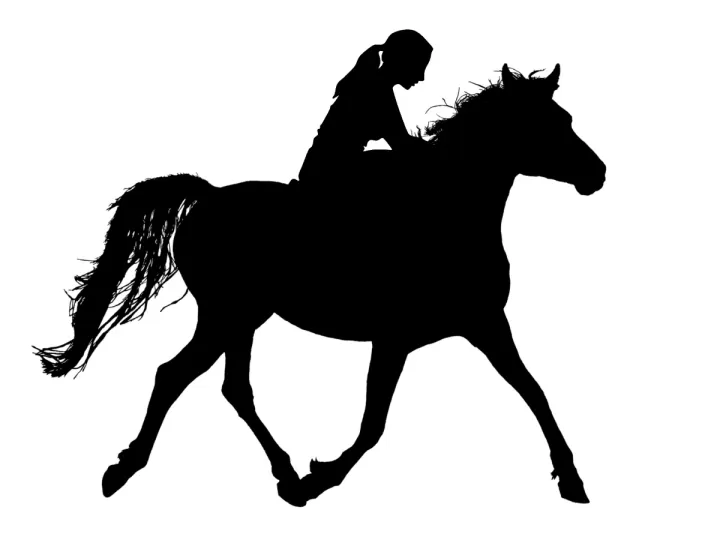 chanclas mujer rider