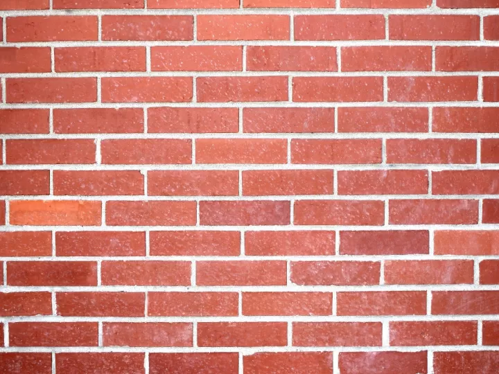 chaqueta para mono rojo