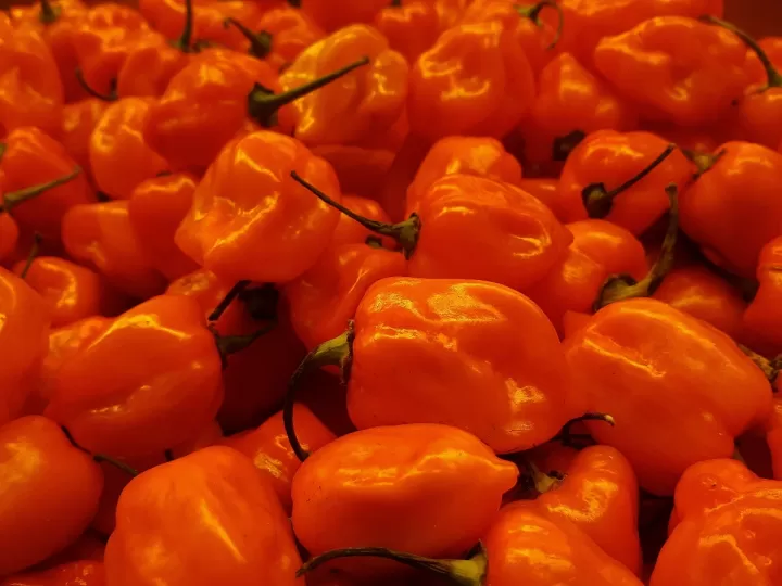 chile habanero mercadona