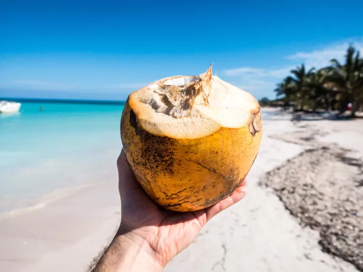 coco deshidratado mercadona