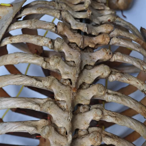 como calmar el dolor de huesos por la humedad