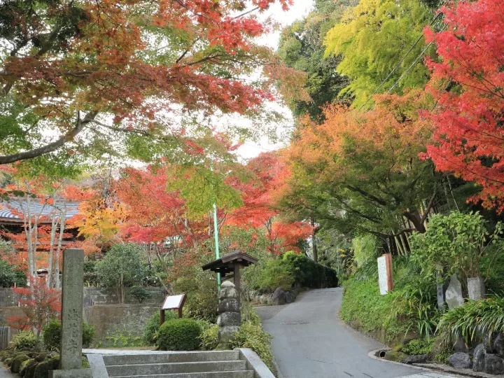 como decorar un árbol seco en el jardín