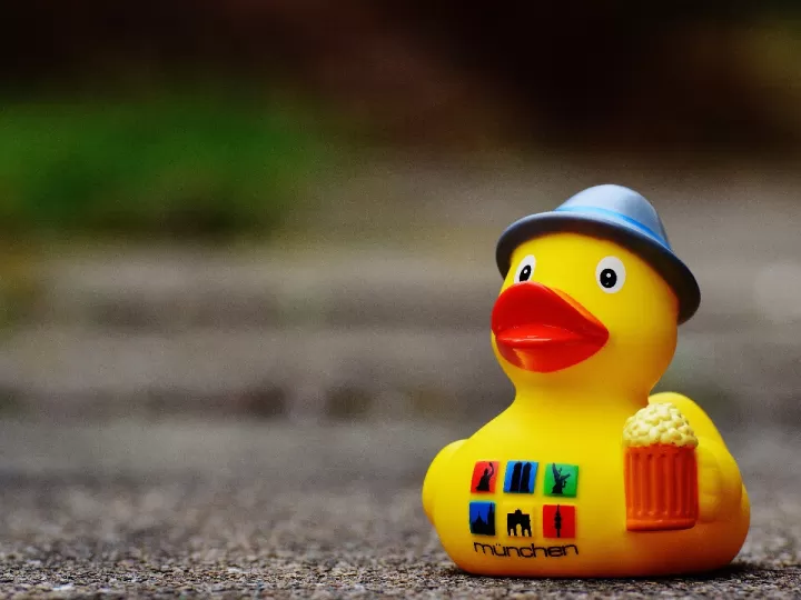 confit pato mercadona