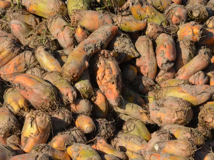 cuanto tiempo tarda en hervir el agua