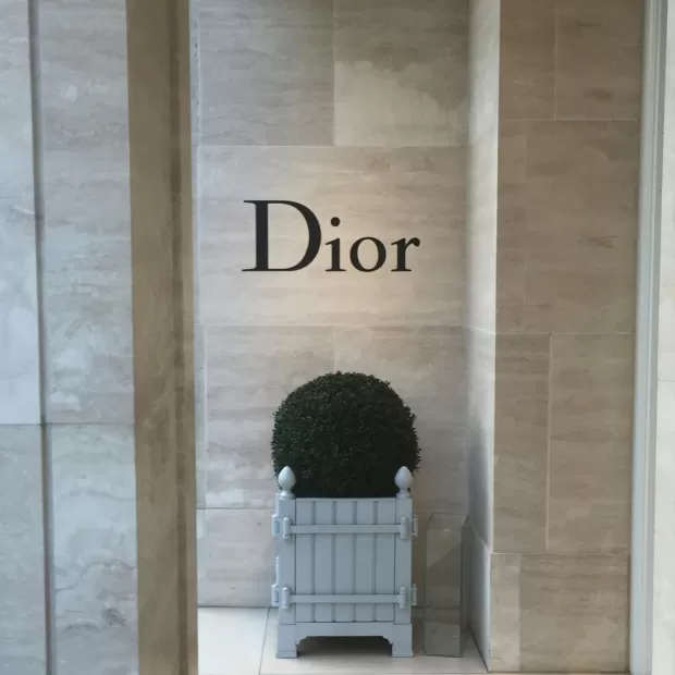 diorissimo de dior a que huele