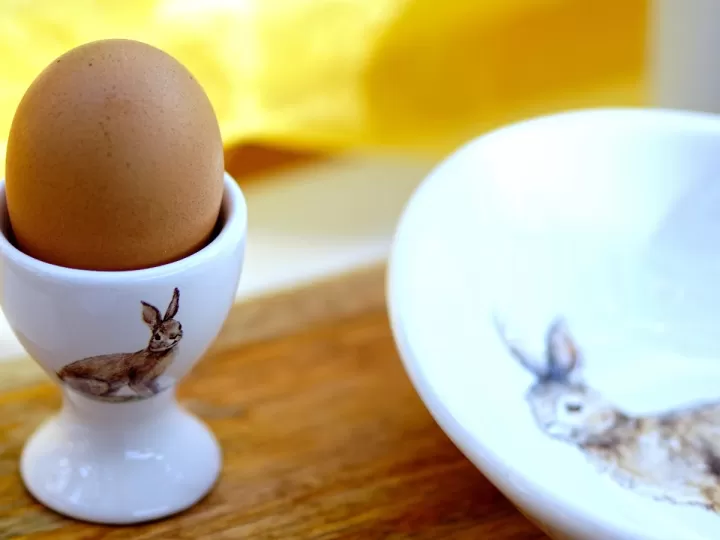 ecoegg huevo para lavar