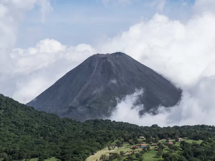 el grimorio del druida