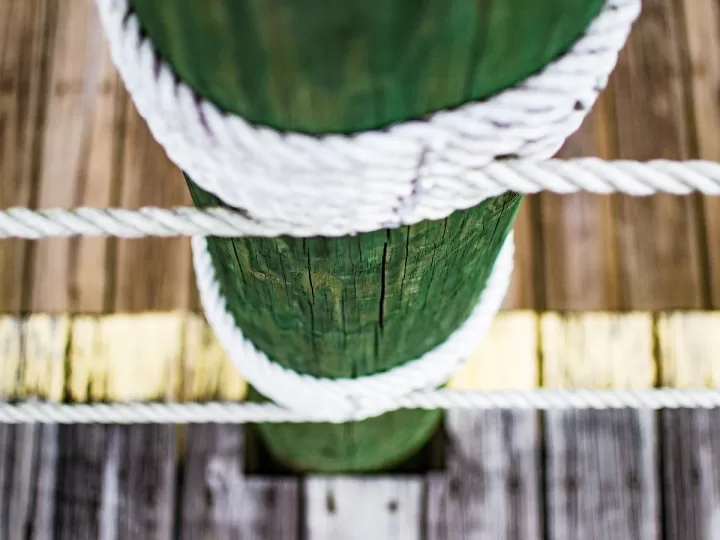 el te verde es diuretico