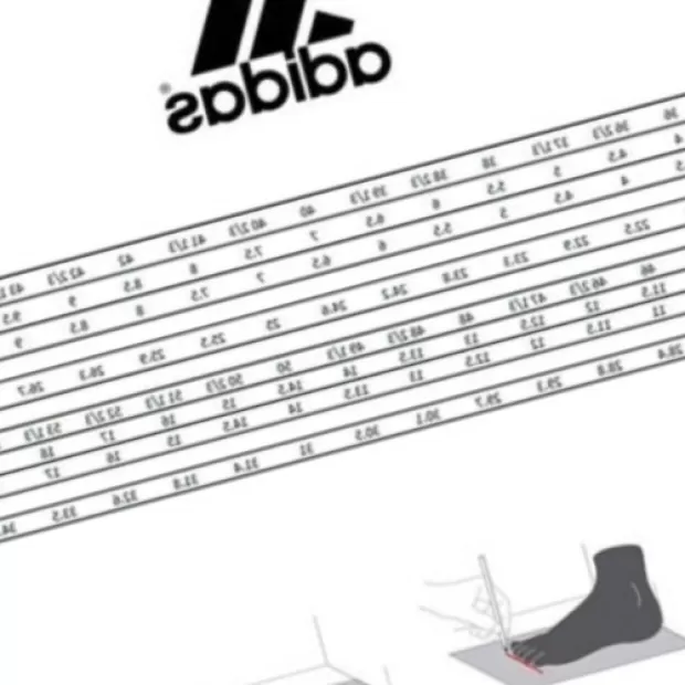 Equivalencia tallas reebok adidas
