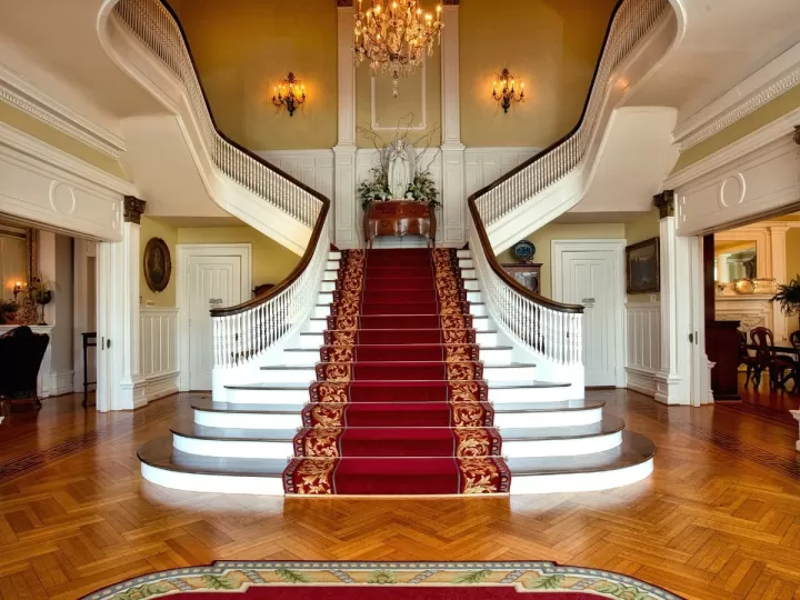 escalera 3 peldaños lidl