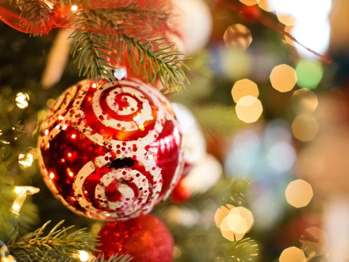 eucalipto navidad