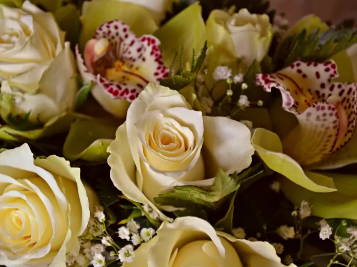 femibion 2 composicion