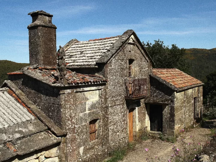 focallure españa